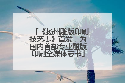 《扬州雕版印刷技艺志》首发，为国内首部专业雕版印刷全媒体志书