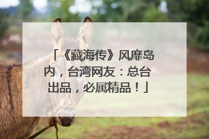《藏海传》风靡岛内，台湾网友：总台出品，必属精品！