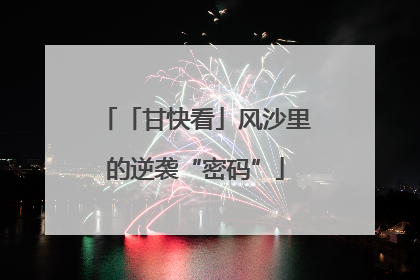 「甘快看」风沙里的逆袭“密码”
