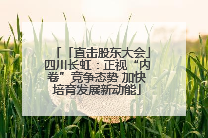 「直击股东大会」四川长虹：正视“内卷”竞争态势 加快培育发展新动能