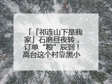 「祁连山下是我家」石磨昼夜转，订单“粮”辰到！高台这个村靠黑小麦面粉拿下成立来最大订单