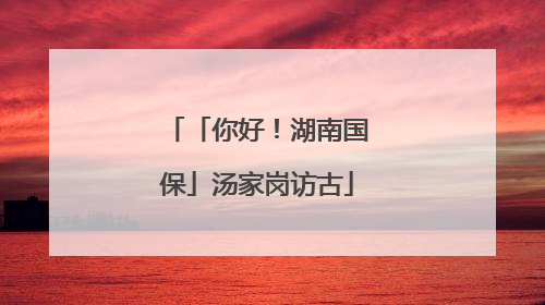「你好！湖南国保」汤家岗访古