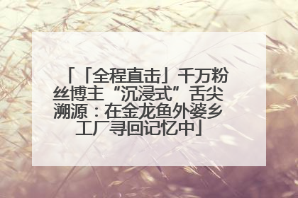 「全程直击」千万粉丝博主“沉浸式”舌尖溯源：在金龙鱼外婆乡工厂寻回记忆中
