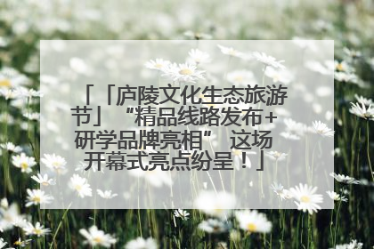 「庐陵文化生态旅游节」“精品线路发布+研学品牌亮相” 这场开幕式亮点纷呈！