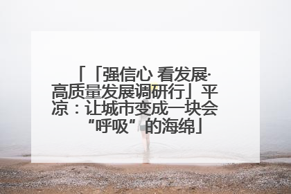 「强信心 看发展·高质量发展调研行」平凉：让城市变成一块会“呼吸”的海绵