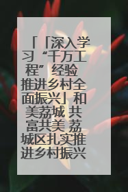 「深入学习“千万工程”经验 推进乡村全面振兴」和美荔城 共富共美 荔城区扎实推进乡村振兴工作