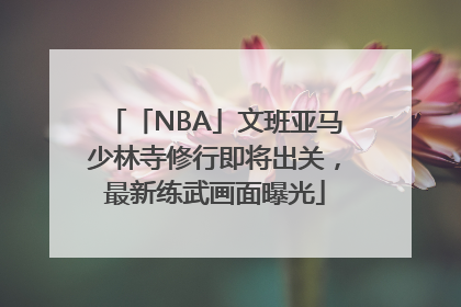 「NBA」文班亚马少林寺修行即将出关，最新练武画面曝光