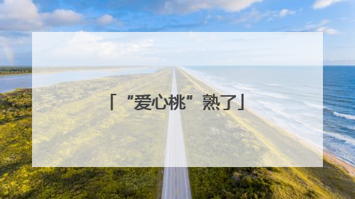 “爱心桃”熟了