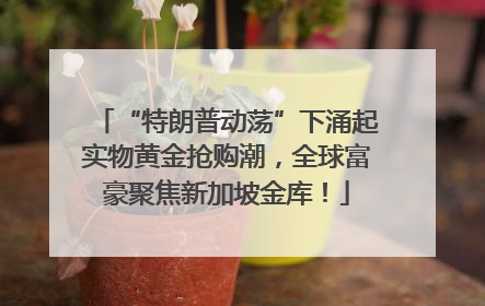 “特朗普动荡”下涌起实物黄金抢购潮，全球富豪聚焦新加坡金库！
