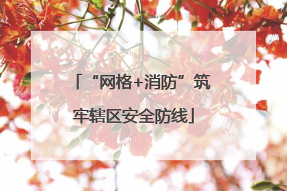 “网格+消防”筑牢辖区安全防线