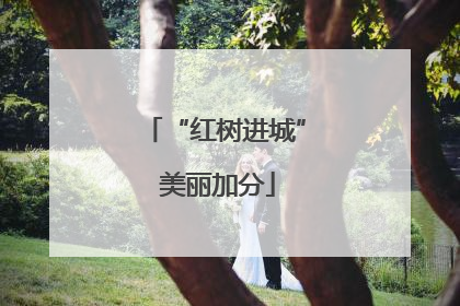 “红树进城” 美丽加分