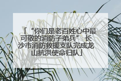 “你们是老百姓心中最可敬的消防子弟兵” 长沙市消防救援支队完成龙山抗洪使命归队