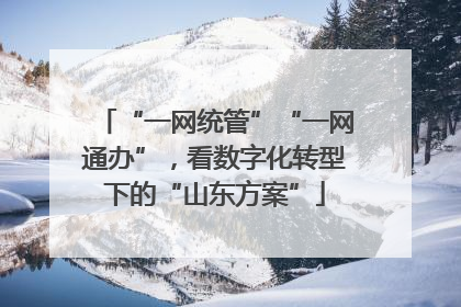 “一网统管”“一网通办”，看数字化转型下的“山东方案”