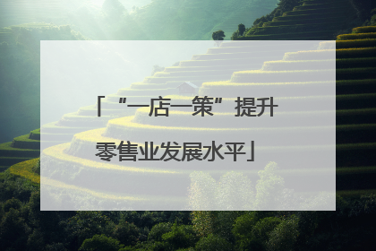 “一店一策”提升零售业发展水平