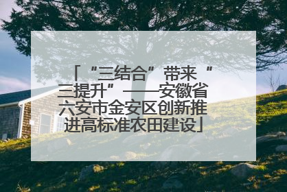“三结合”带来“三提升”——安徽省六安市金安区创新推进高标准农田建设