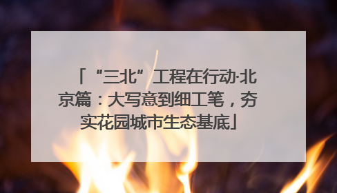 “三北”工程在行动·北京篇：大写意到细工笔，夯实花园城市生态基底