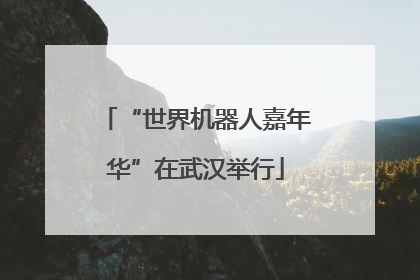 “世界机器人嘉年华”在武汉举行