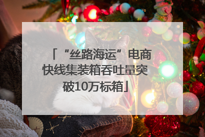 “丝路海运”电商快线集装箱吞吐量突破10万标箱