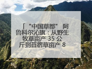 “中国草都” 阿鲁科尔沁旗：从野生牧草亩产 35 公斤到苜蓿草亩产 800 公斤以上