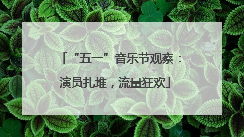“五一”音乐节观察：演员扎堆，流量狂欢