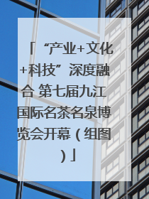 “产业+文化+科技”深度融合 第七届九江国际名茶名泉博览会开幕（组图）