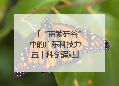 “南繁硅谷”中的广东科技力量｜科学驿站
