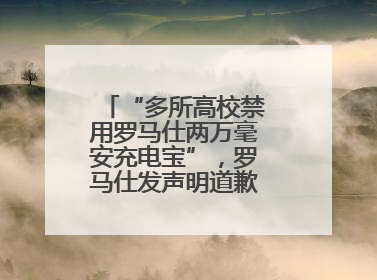 “多所高校禁用罗马仕两万毫安充电宝”，罗马仕发声明道歉：已展开核查