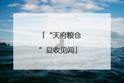 “天府粮仓”夏收见闻