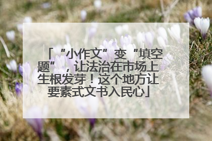 “小作文”变“填空题”，让法治在市场上生根发芽！这个地方让要素式文书入民心