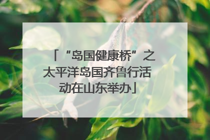 “岛国健康桥”之太平洋岛国齐鲁行活动在山东举办