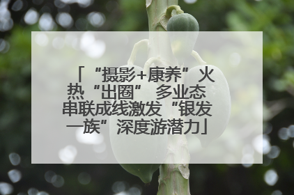 “摄影+康养”火热“出圈” 多业态串联成线激发“银发一族”深度游潜力