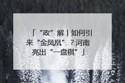 “政”解丨如何引来“金凤凰”？河南亮出“一盘棋”