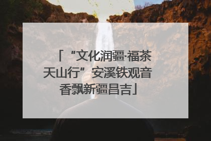 “文化润疆·福茶天山行”安溪铁观音香飘新疆昌吉