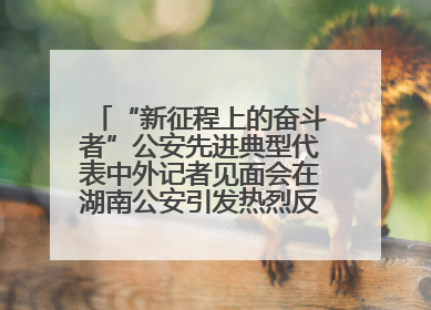 “新征程上的奋斗者”公安先进典型代表中外记者见面会在湖南公安引发热烈反响(二)