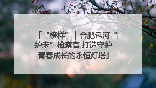 “榜样”｜合肥包河“护未”检察官 打造守护青春成长的永恒灯塔