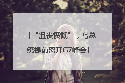 “沮丧愤慨”，乌总统提前离开G7峰会