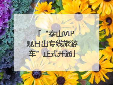 “泰山VIP观日出专线旅游车”正式开通