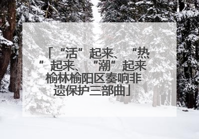 “活”起来、“热”起来、“潮”起来 榆林榆阳区奏响非遗保护三部曲