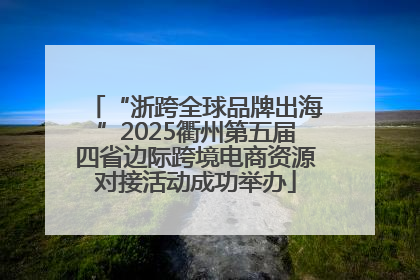 “浙跨全球品牌出海”2025衢州第五届四省边际跨境电商资源对接活动成功举办