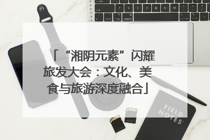 “湘阴元素”闪耀旅发大会：文化、美食与旅游深度融合