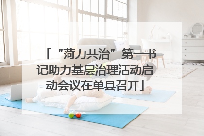 “菏力共治”第一书记助力基层治理活动启动会议在单县召开
