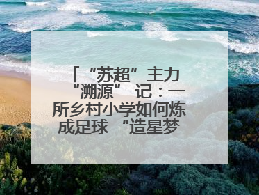 “苏超”主力 “溯源” 记：一所乡村小学如何炼成足球 “造星梦工场”