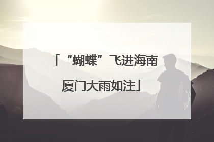 “蝴蝶”飞进海南 厦门大雨如注