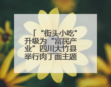 “街头小吃”升级为“富民产业”四川大竹县举行肉丁面主题消费活动