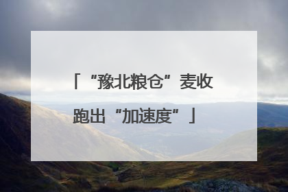“豫北粮仓”麦收跑出“加速度”