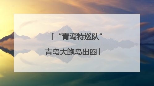 “青鸾特巡队”青岛大鲍岛出圈