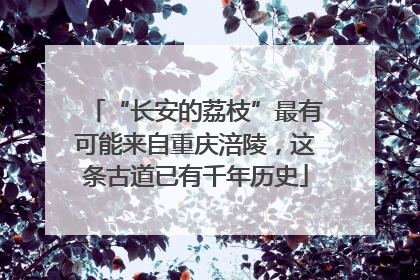 “长安的荔枝”最有可能来自重庆涪陵，这条古道已有千年历史