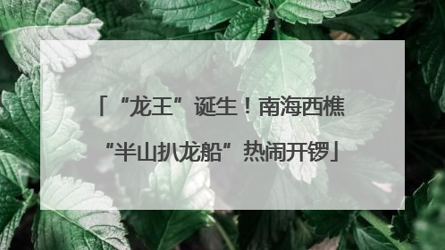 “龙王”诞生！南海西樵“半山扒龙船”热闹开锣