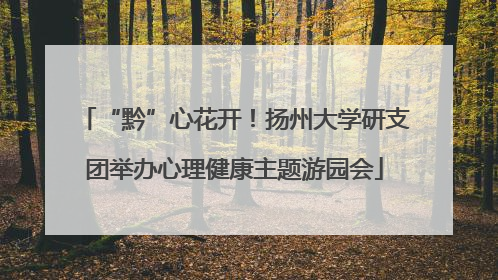 “黔”心花开！扬州大学研支团举办心理健康主题游园会