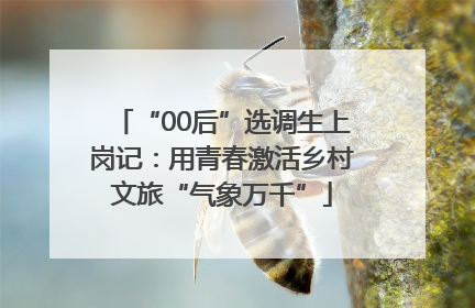 “00后”选调生上岗记：用青春激活乡村文旅“气象万千”
